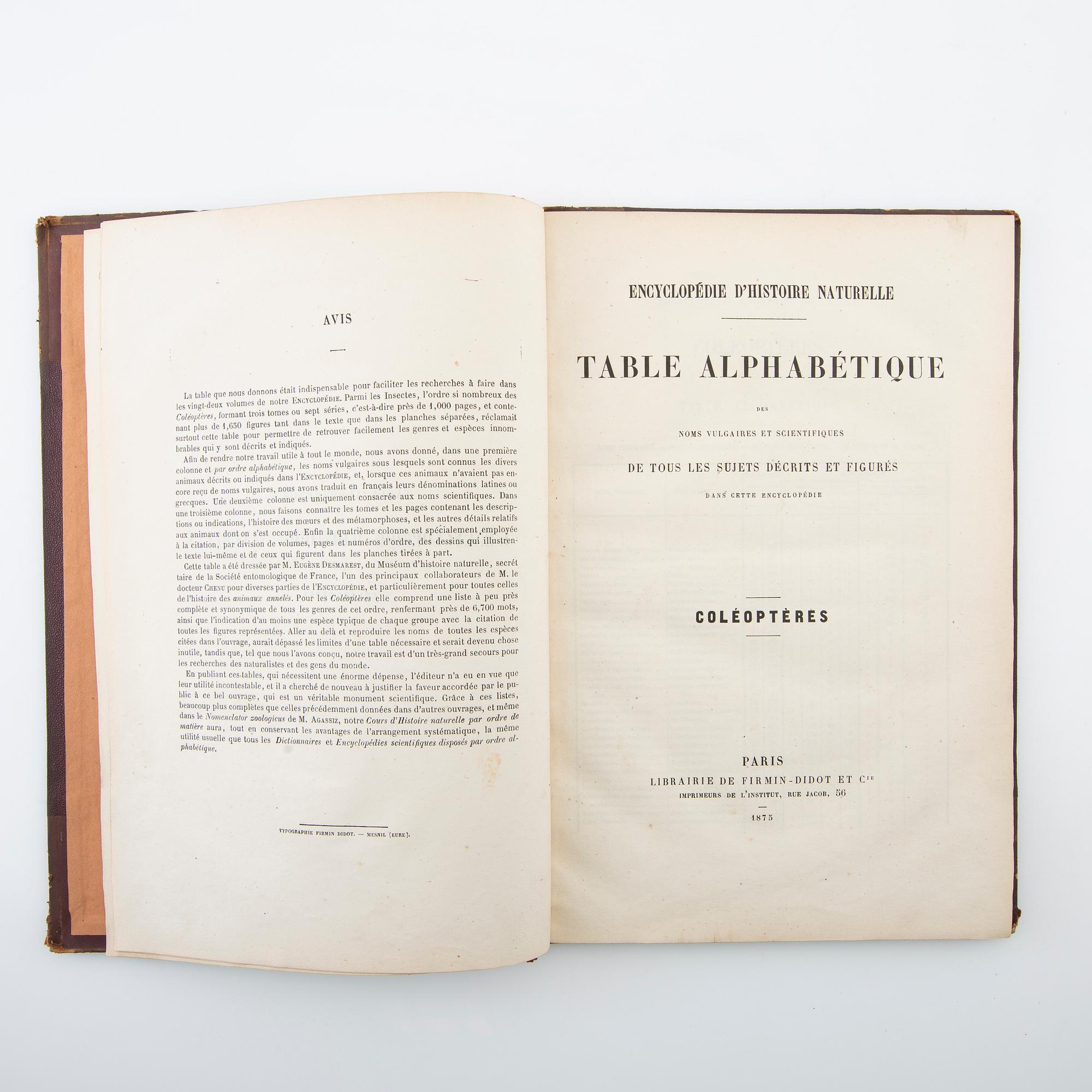 "Les Coléoptères..." & "Table Alphabetique .... Coléoptères", 2 volumes, Paris 1876 & 1875.