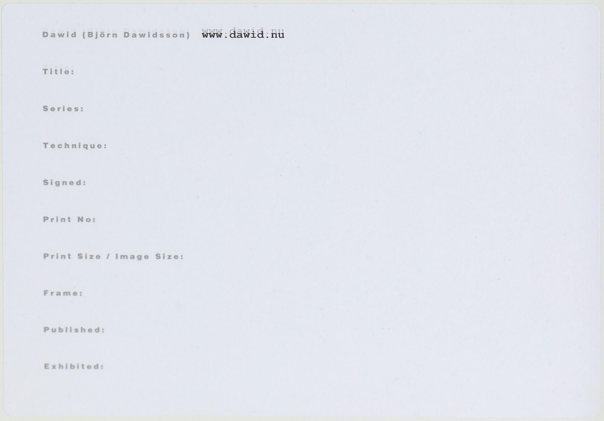 DAWID, pigment. Signed and numbered 2/5. Dated -0.