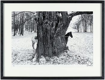 Jan Delden · JAN DELDEN, archival pigment print, signerad och numrerad 1/10.