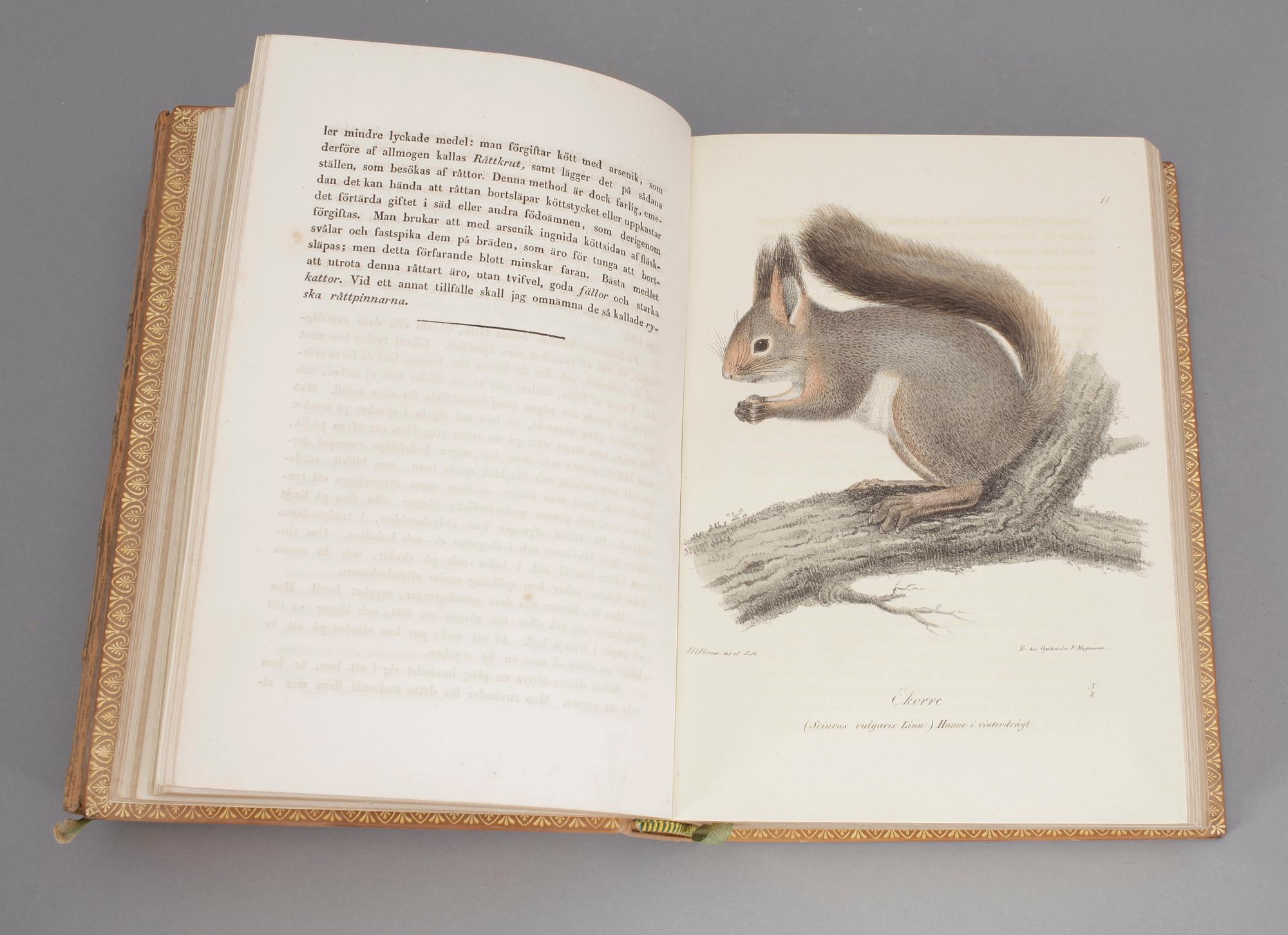 ILLUMINERADE FIGURER TILL SKANDINAVIENS FAUNA MED TEXT UTGIFNE.1-2. S.NILSSON. (Stockholm)& Lund 1832-1840. (2).