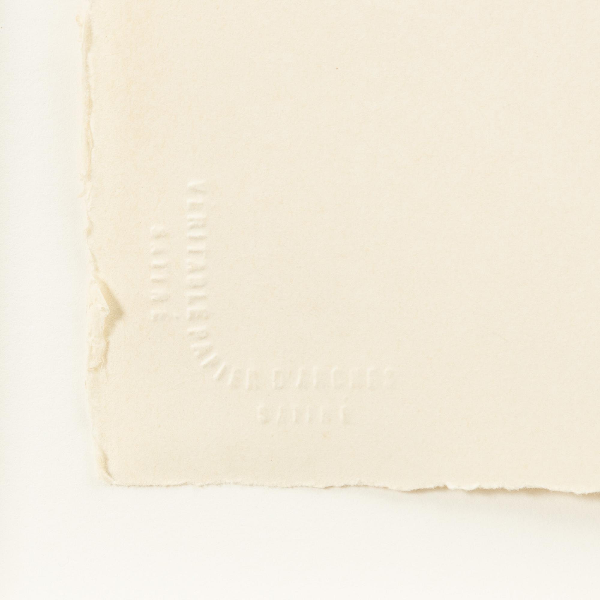 Louis Cane, "Louis Cane Art.Iste Peintre".