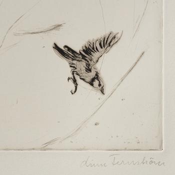 Linn Fernström, Flicka med fåglar.