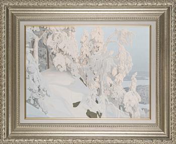 Juha Ojanen, "Koli".