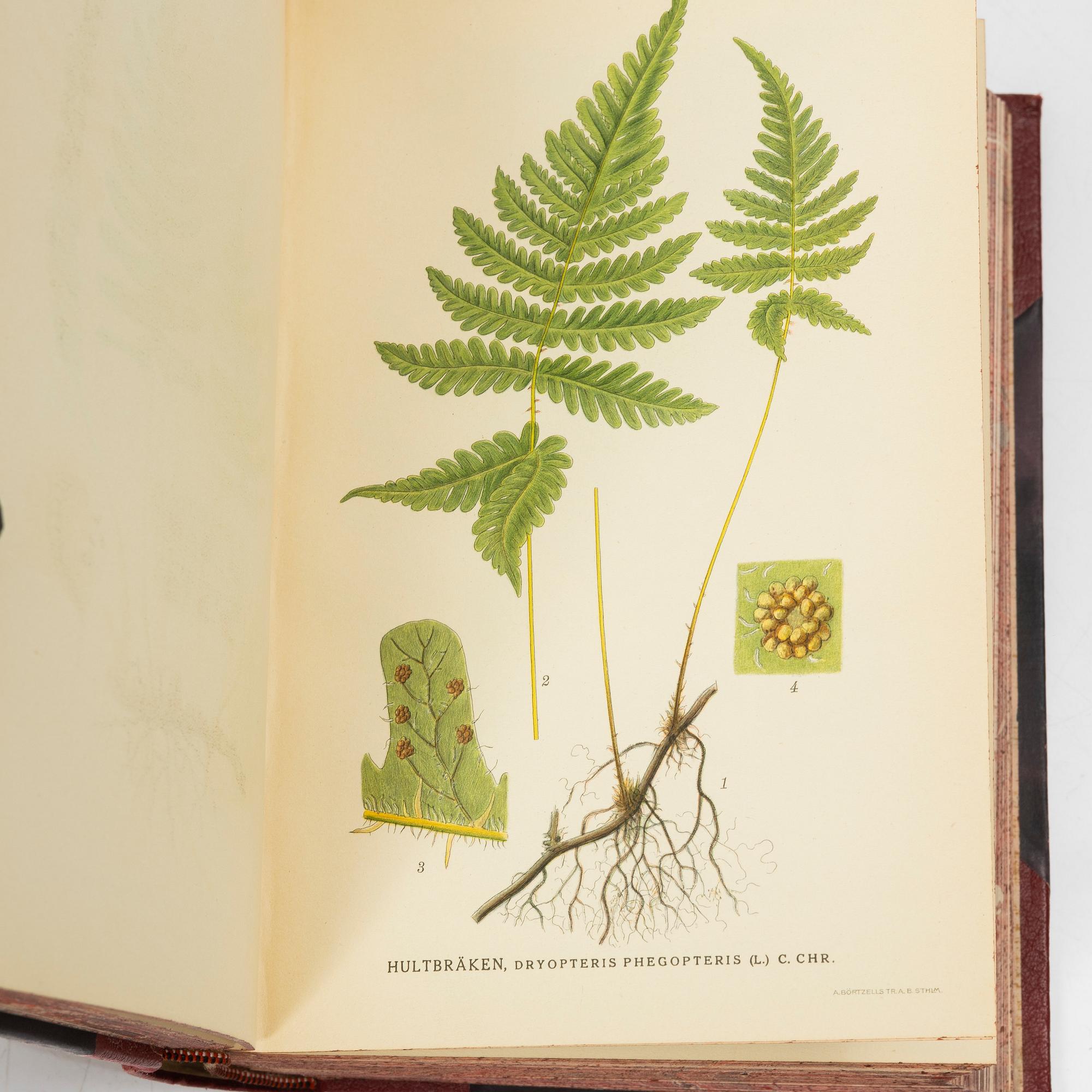 C.A.M Lindman, books, 3 volumes, "Bilder ur Nordens Flora",  Wahlström & Widstrand, 1922-1926.