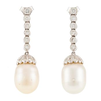 581. A pair of earrings in 18K white gold with cultured South Sea pearls and round brilliant-cut diamonds.