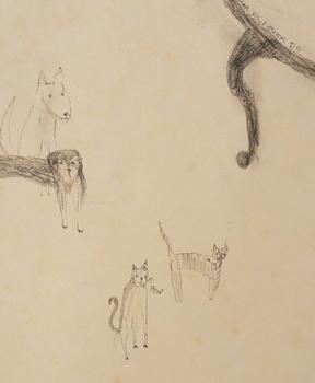 Kate Lyddon, Untitled.