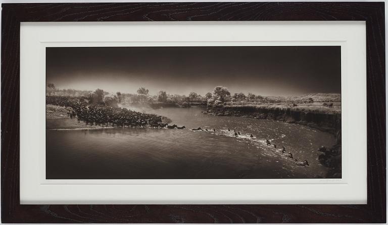 Nick Brandt, "Zebra River Crossing, Masai Mara, 2006".