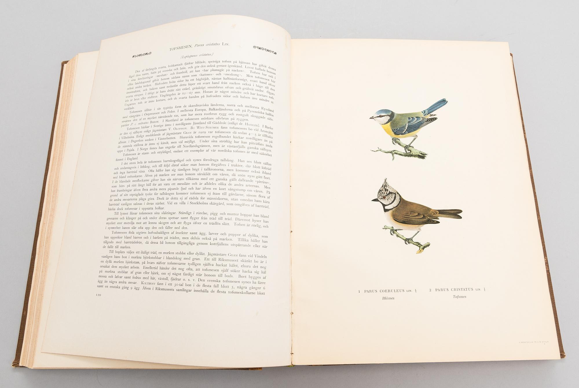 Books, 3 vol, "Svenska Fåglar", M,W & F von Wright. 1924 and 1929 Stockholm.