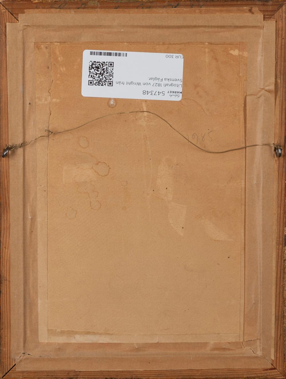 FÄRGLITOGRAFI, Wilhelm von Wright, ur verket "Svenska Foglar", daterad 1828, numrerad 7/10.