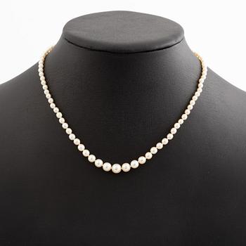 Collier med doserade pärlor, lås vitguld med tre gammalslipade diamanter.