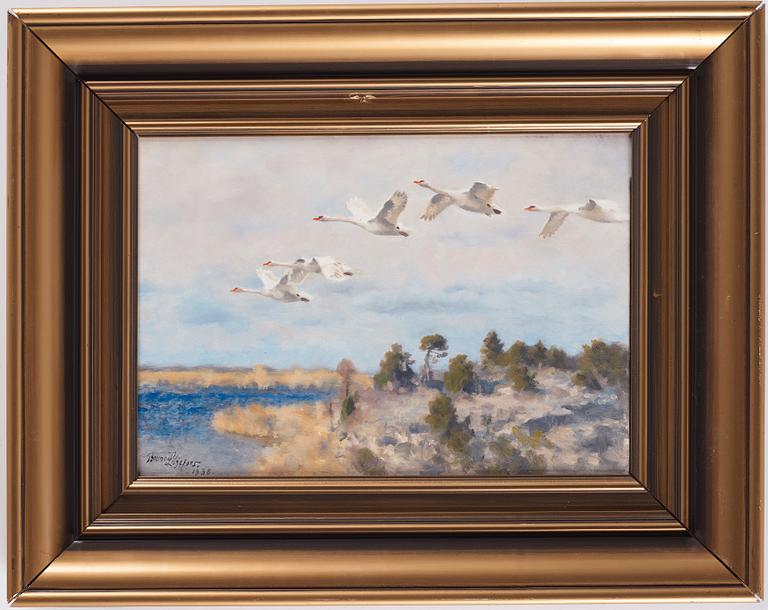 Bruno Liljefors, Swans in flight.