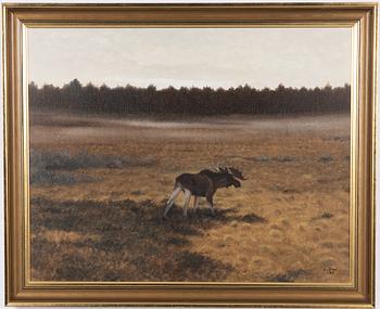 Lennart Sand, Early morning with moose on the bog.