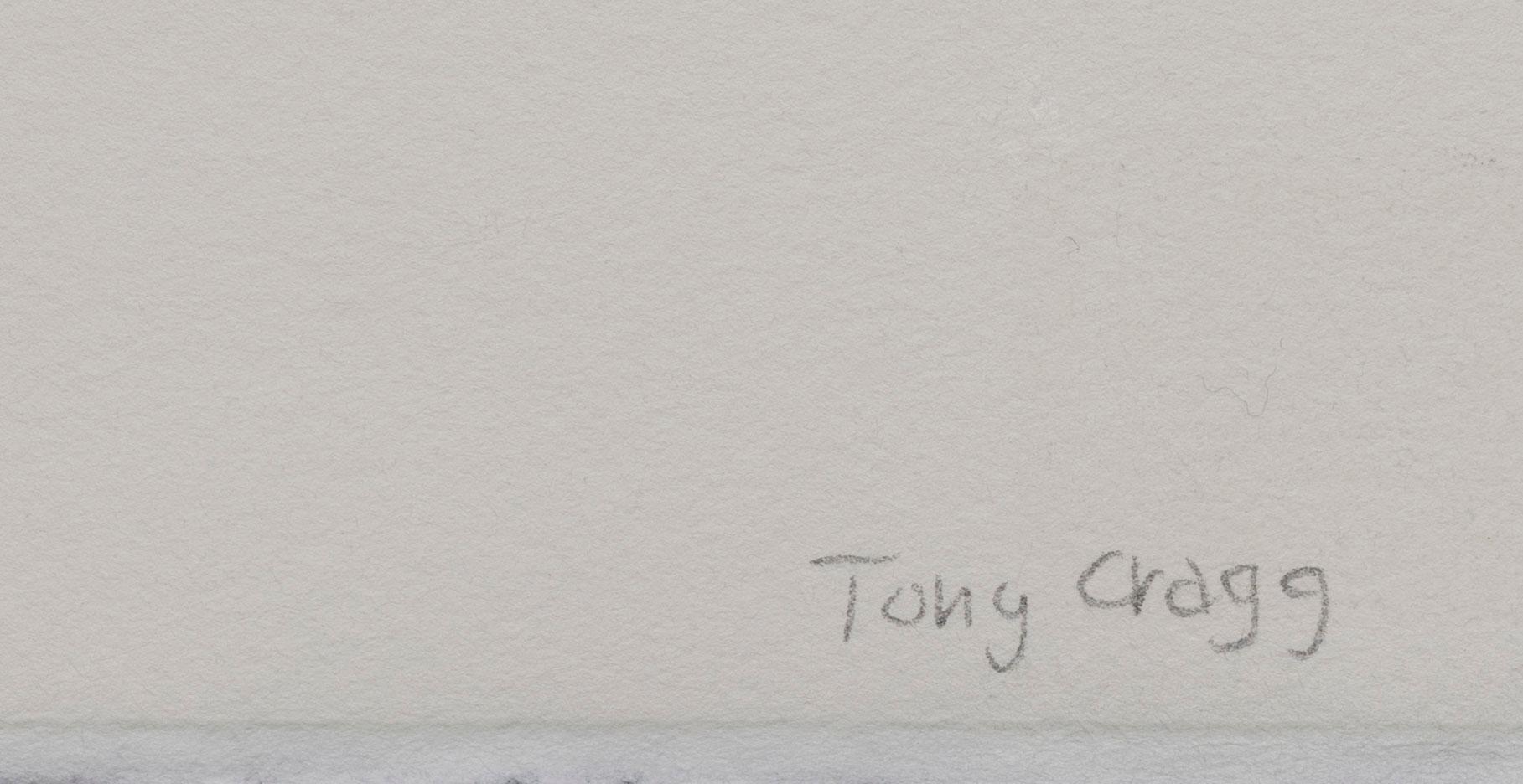 Tony Cragg, "Static I".