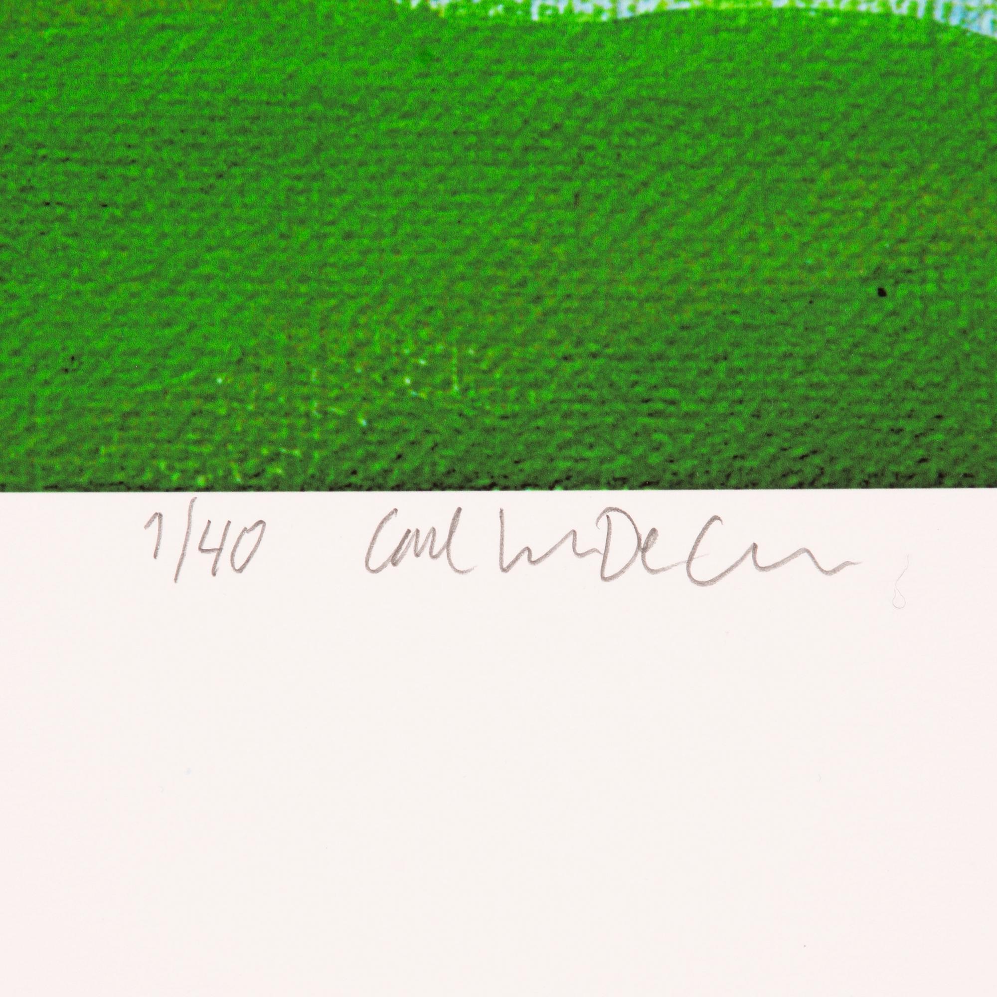 Carl Johan De Geer, "Skriet från vildmarken".