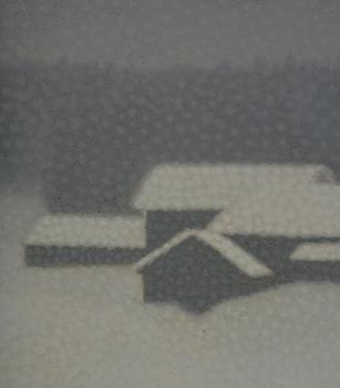 Bror Lindh, Rowan berries in a winter landscape.