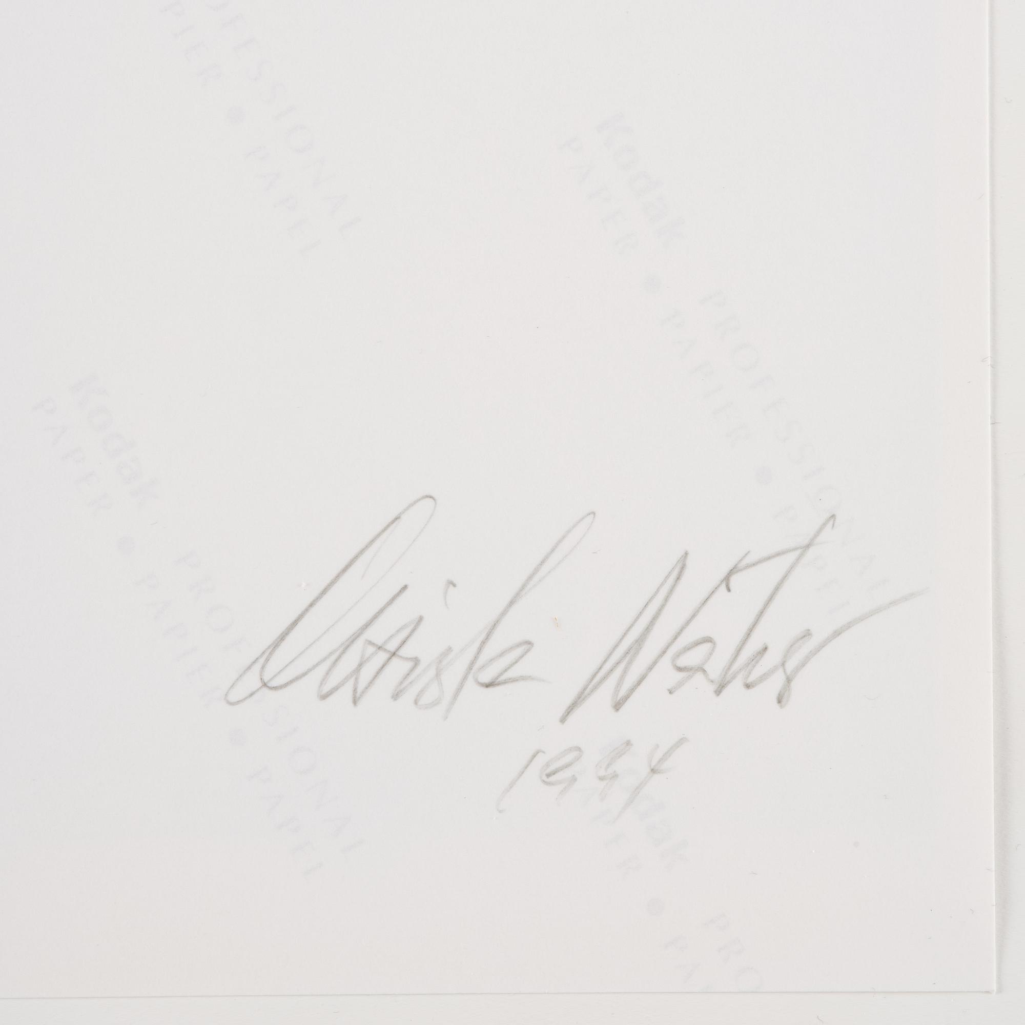 Christa Näher, "Kentaur" (1991).