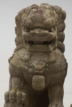 A pair of stone figures of Buddhist Lions on stands, late Qing dynasty / early 20th century..