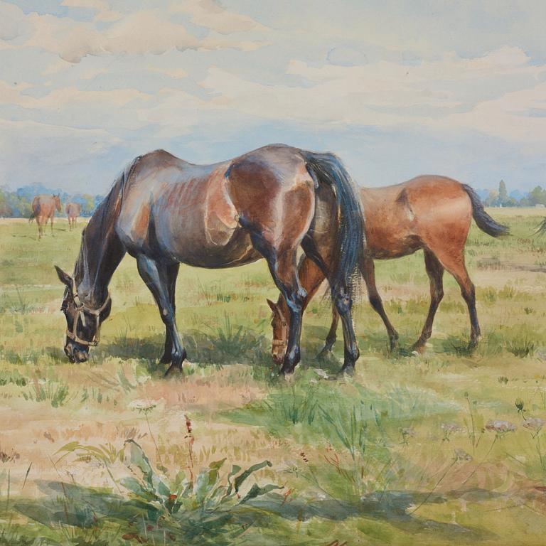 Anna Palm de Rosa, Grazing horses.