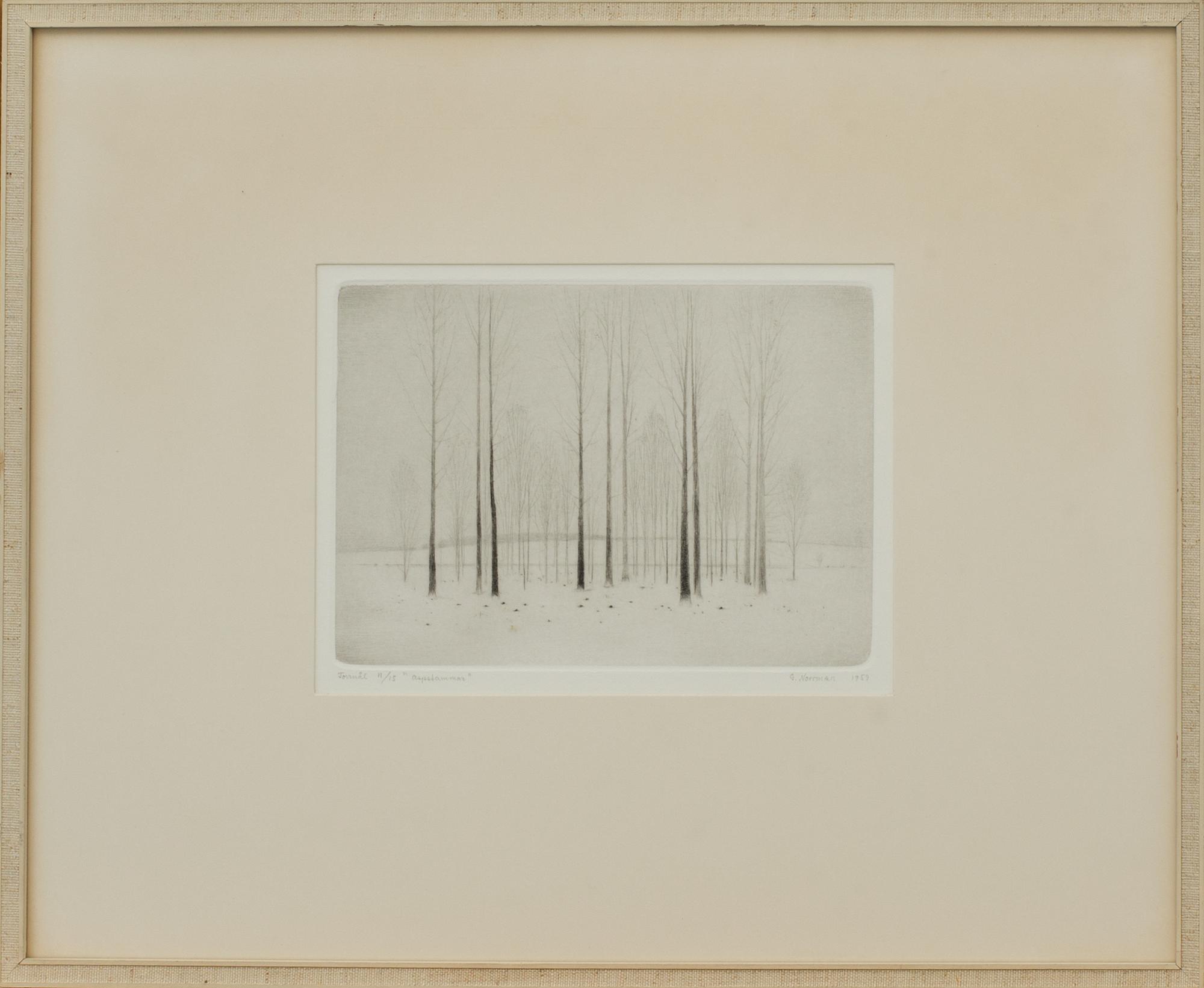 GUNNAR NORRMAN, torrnål, numrerad 11/15 samt signerad samt daterad 1959.