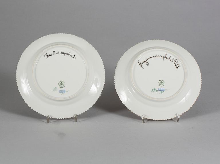 ASSIETTER, 2 st, porslin, modell "3573", "Flora Danica", Royal Copenhagen.
