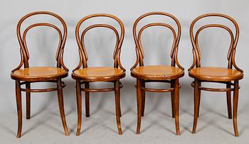 STOLAR, 4 st, Thonet, 1900-talets första hälft.