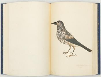 Olof Rudbeck d.y., 'Svenska fåglar (Swedish birds)'.
