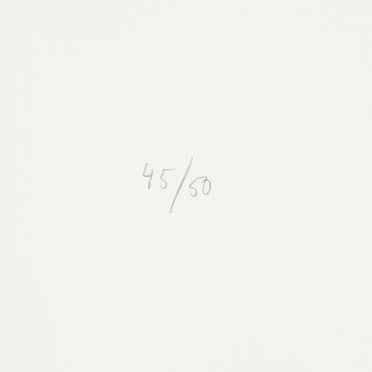 Jan Håfström, etching in colours, 2020, signed 45/50.