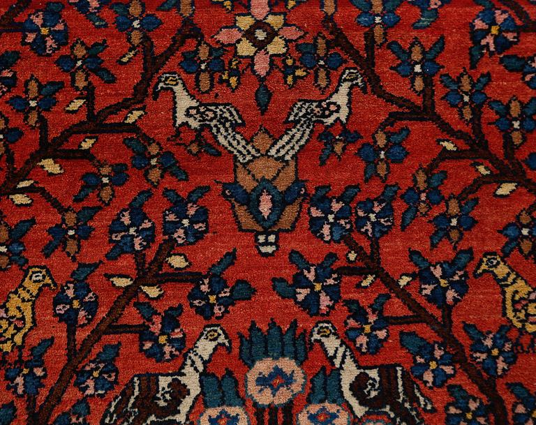 MATTA, Bakshaish, semiantik, 150 x 110 cm.