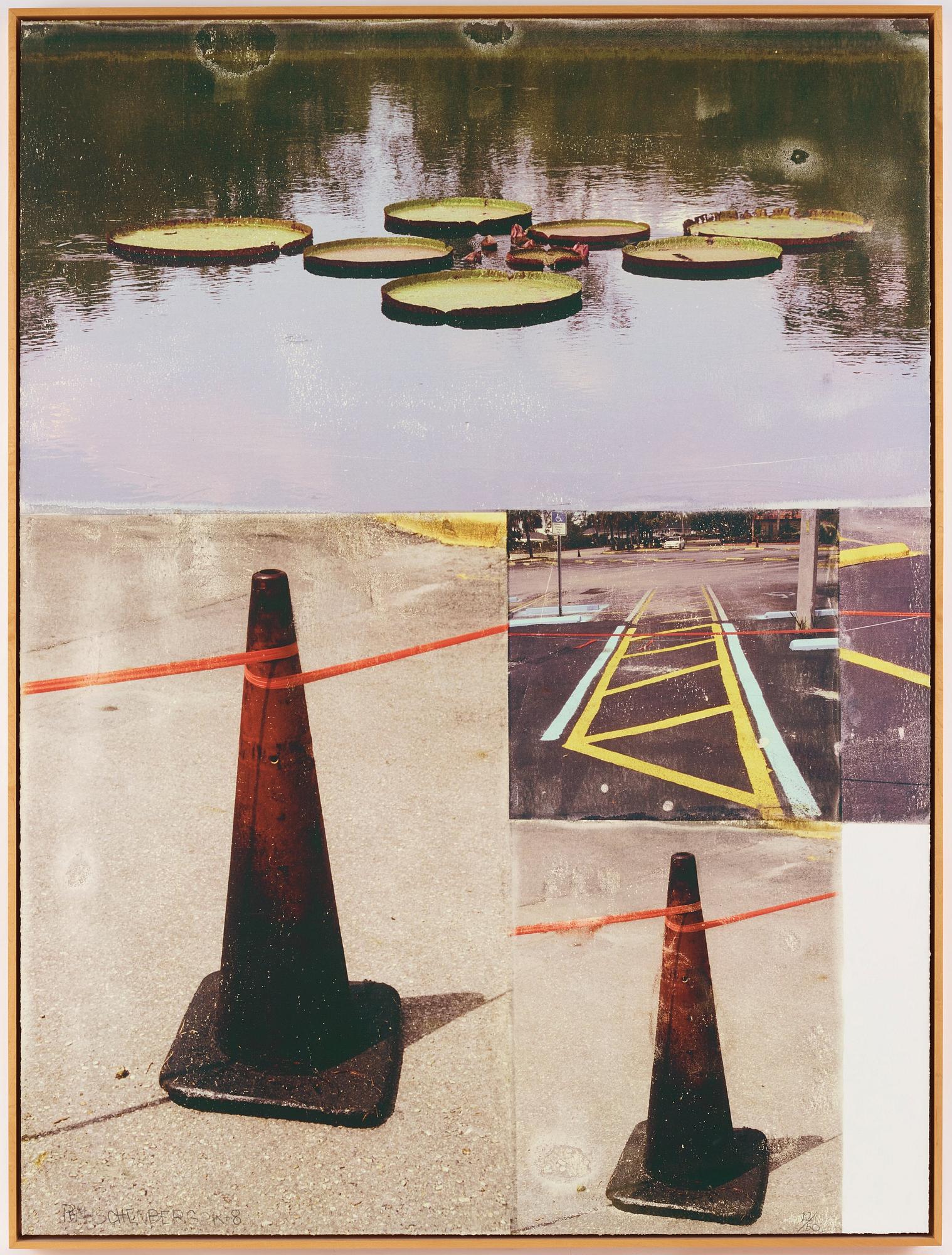 Robert Rauschenberg, "Lotus Bed I" ur "The Lotus Series".