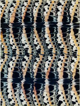 Nathalia Edenmont, "Snakes", 2006.
