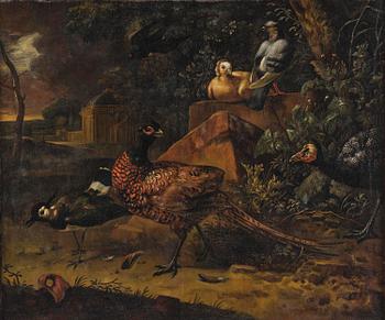 570. Melchior de Hondecoeter His art, Wild birds in a park landscape.