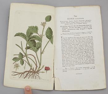 JOHAN WILHELM PALMSTRUCH, "Svensk Botanik, vol I-V. 1803-1805.
