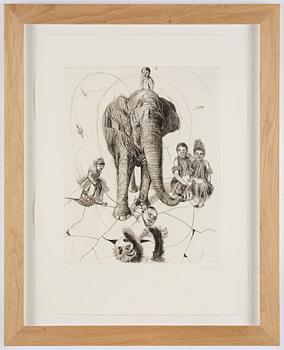 Linn Fernström, "Elefant på hal is".