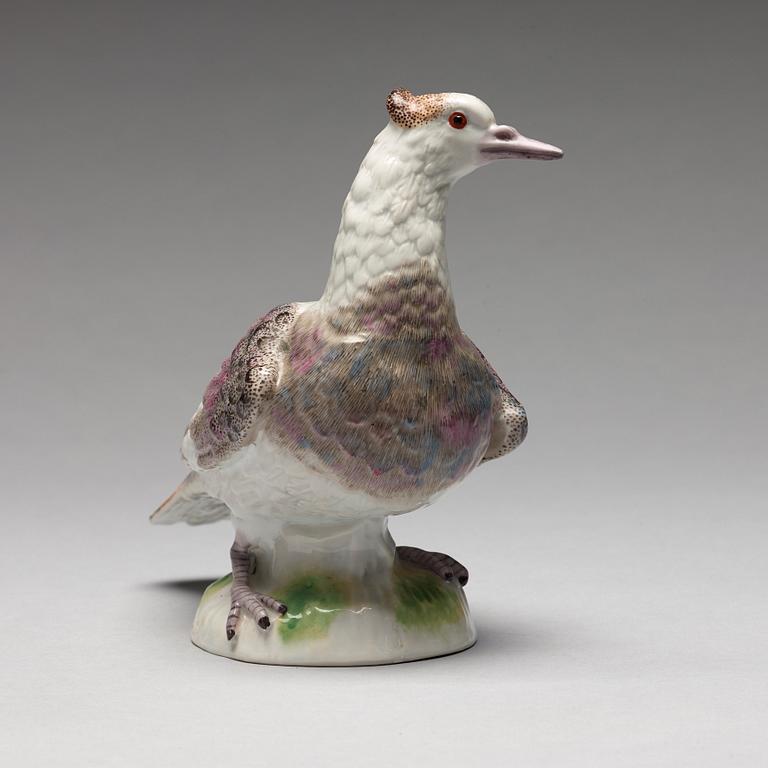A porcelain figure of a dove, possibly Samson.