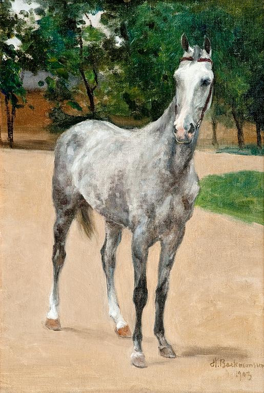 Hugo Backmansson, THE GRAY HORSE.