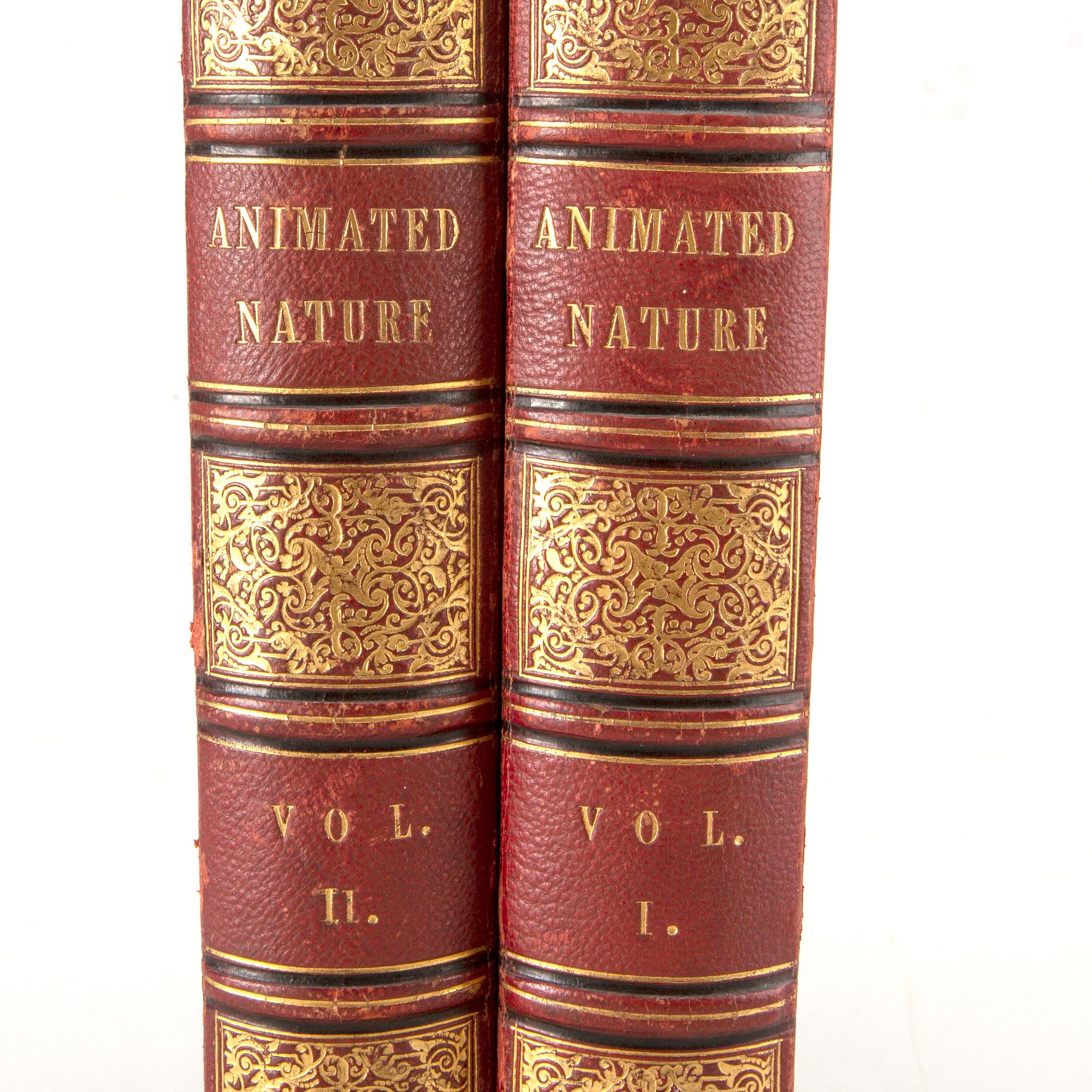 OLIVER GOLDSMITH 'A History of The Earth and Animated Nature' I-II, hand colored plates, c 1870.