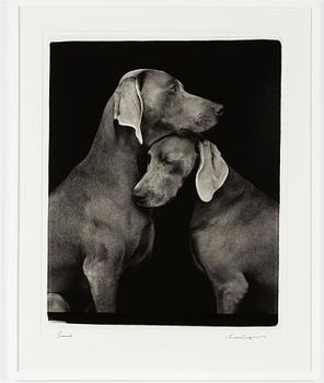 William Wegman, "Friends".