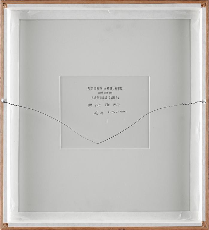 Ansel Adams, Edward Weston.