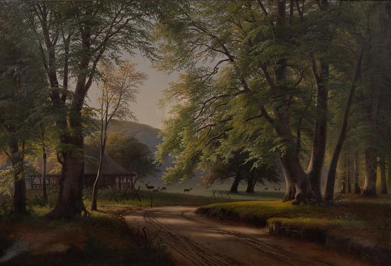 Unknown artist, Forest landscape, Denmark, 19th century.
