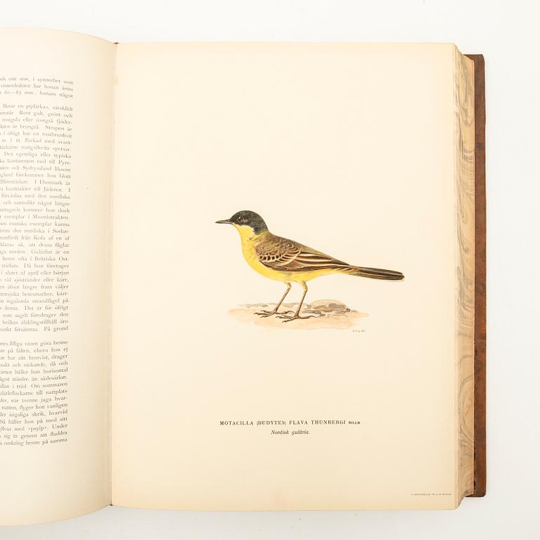 The Wright Brothers, book work, 3 volumes, "Swedish Birds", A. Börtzells tryckeri AB, Ivar Baarsen, Stockholm, 1927-1929.