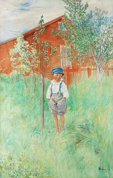 Carl Larsson, "Esbjörn vid sitt ägandes äppelträd / Esbjörn, unghink". (Esbjörn by his own Apple Tree).