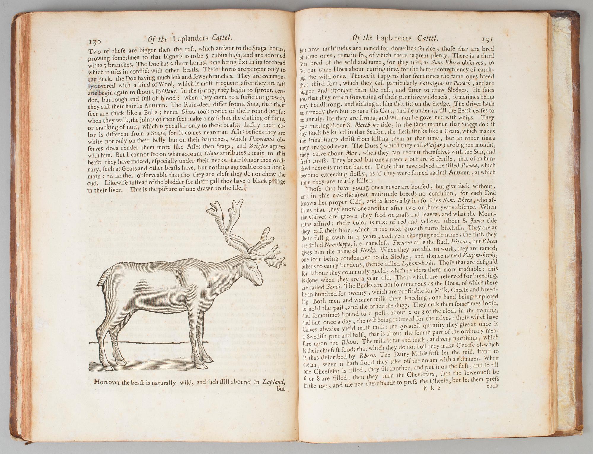 BOK, Johannes Schefferus, Beskrivning av Lappland tryckt Oxford 1674.