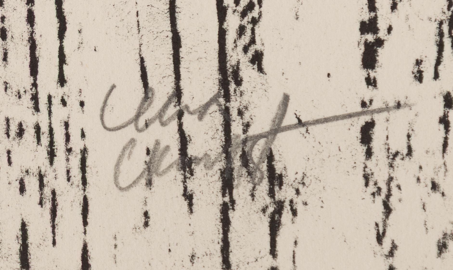 Lena Cronqvist, Untitled, from the portfolio: “August Strindberg, Ett Drömspel”.
