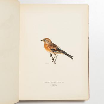 Bröderna von Wright, bokverk, 3 band, "Svenska fåglar", A. Börtzells tryckeri AB, Stockholm, 1927-1929.