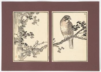 Kōno Bairei,  färgträsnitt, 16st, Japan, 1881-84.