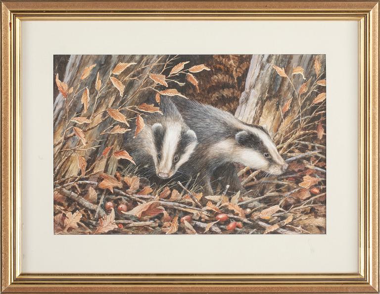 NEIL COX, gouache, signerad.