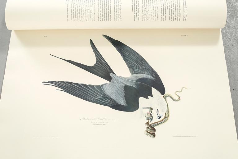 The book "The Birds of America", volume II, by John James Audubon, numbered 178/500, 1973.