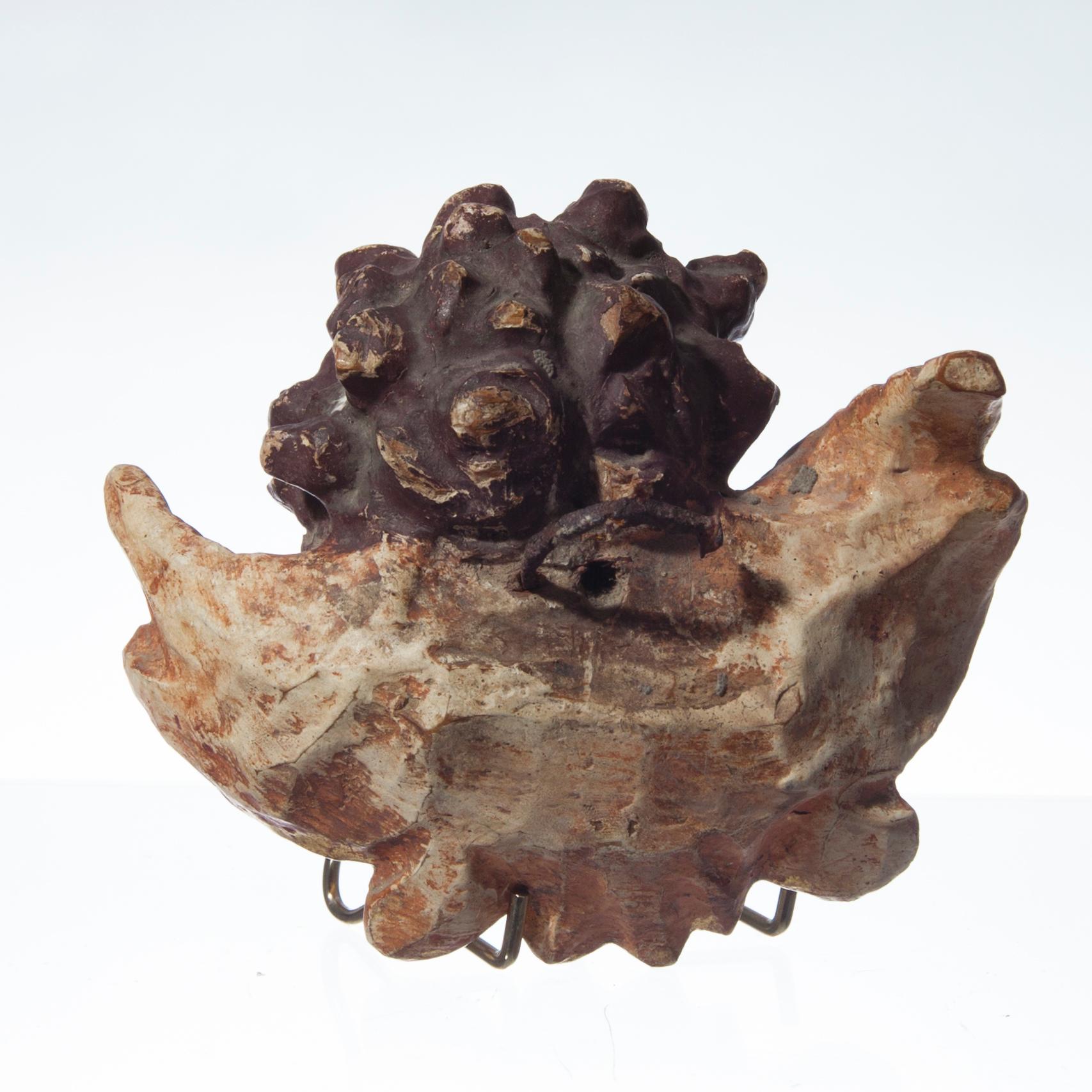 VEISTOS, maalattua puuta, Keski- /Etelä-Eurooppa, 1800-luku.