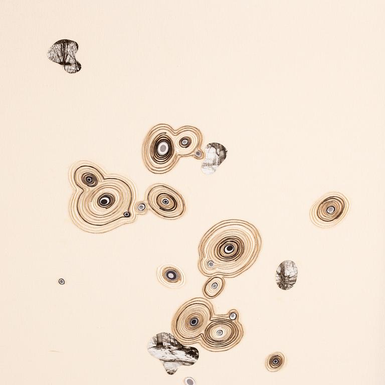 Elisabeth Westerlund, "Lill-Jans Skogen".
