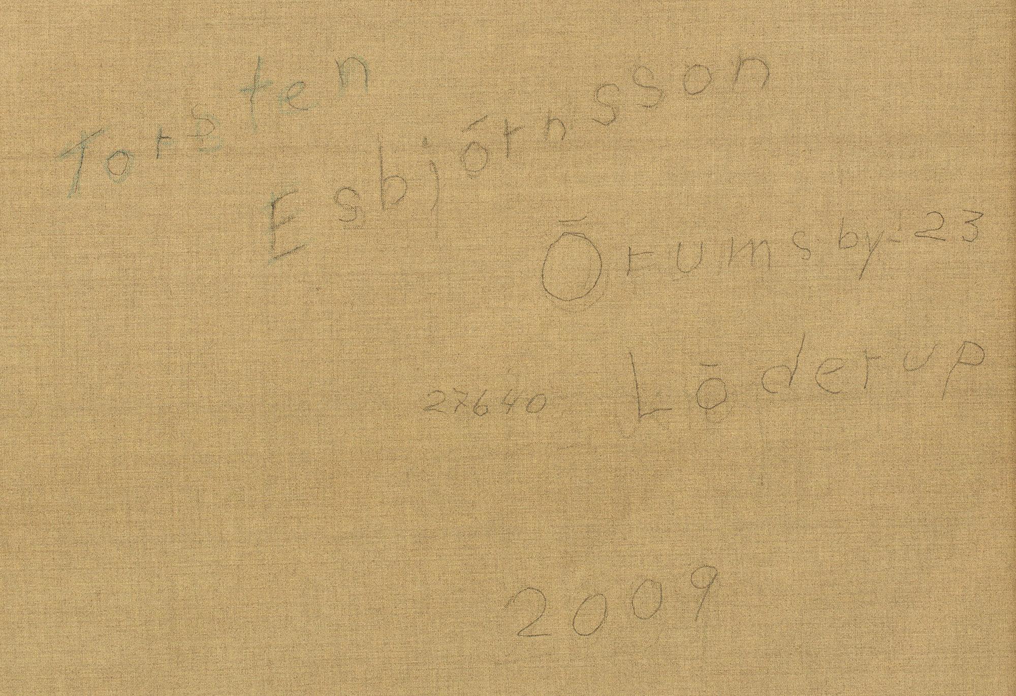 TORSTEN ESBJÖRNSSON, oil on canvas, signed and dated 2009,